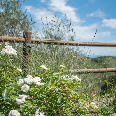 Casa Crevole Di Martina Semesterbostad