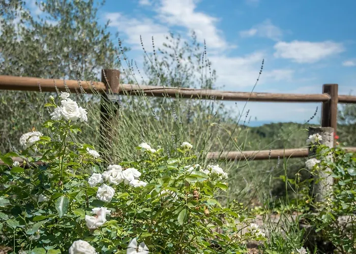 Casa Crevole Di Martina בית נופש *